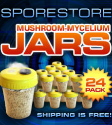 Mushroom Grow Jars